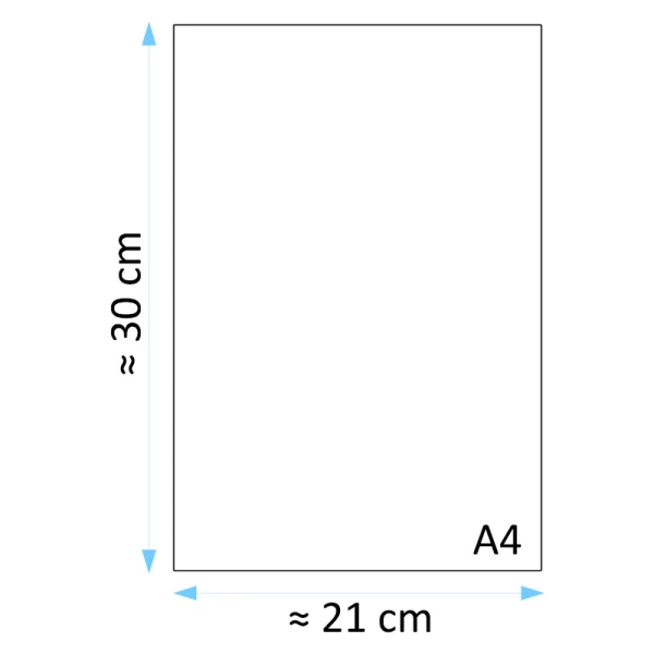 Dyplom za Wzorową Frekwencję